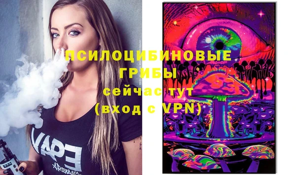 винт Алзамай