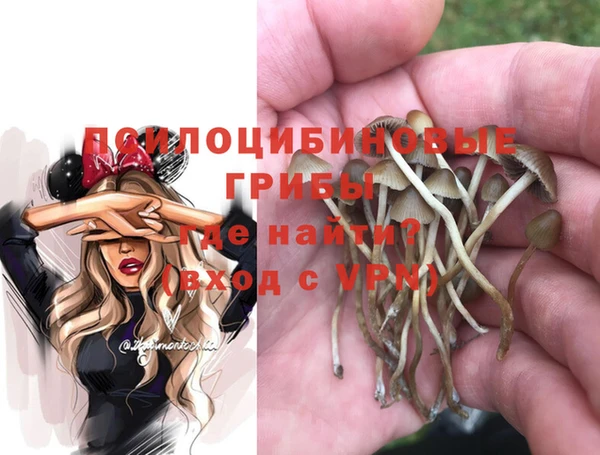 винт Алзамай