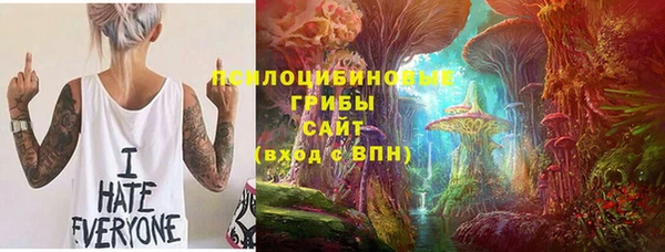 винт Алзамай