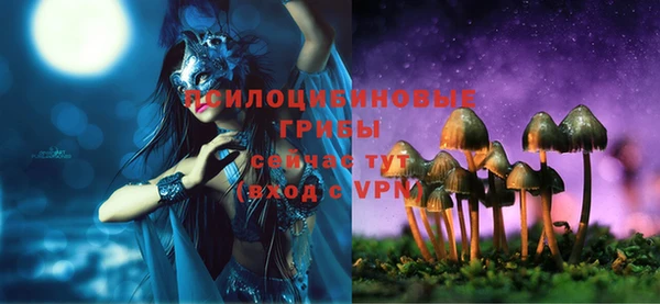 ПСИЛОЦИБИНОВЫЕ ГРИБЫ Абинск