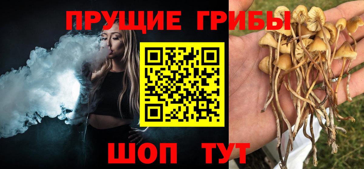 магазин  наркотиков  Псилоцибиновые грибы мухоморы  Вход с VPN  Егорьевск  Псилоцибиновые грибы MAGIC MUSHROOMS 